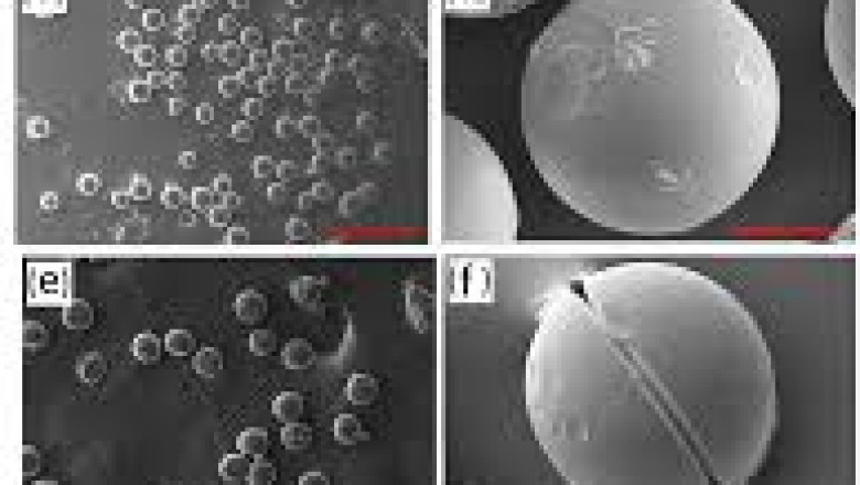 Global Resorcinol Formaldhyde Latex Market Report, Latest Trends, Industry Opportunity &amp; Forecast to 2028