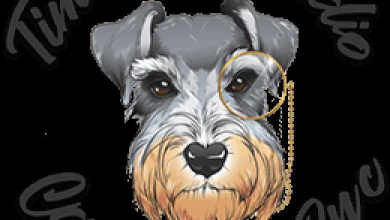 Invest In Dedicated Digital Marketing Services To Expand Your Brand