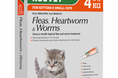 Neove | Free Shipping | DiscountPetCare