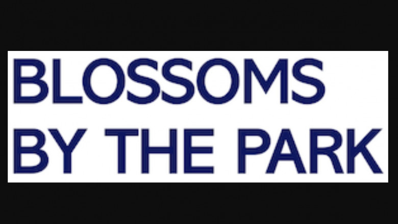 Property For Sale Options