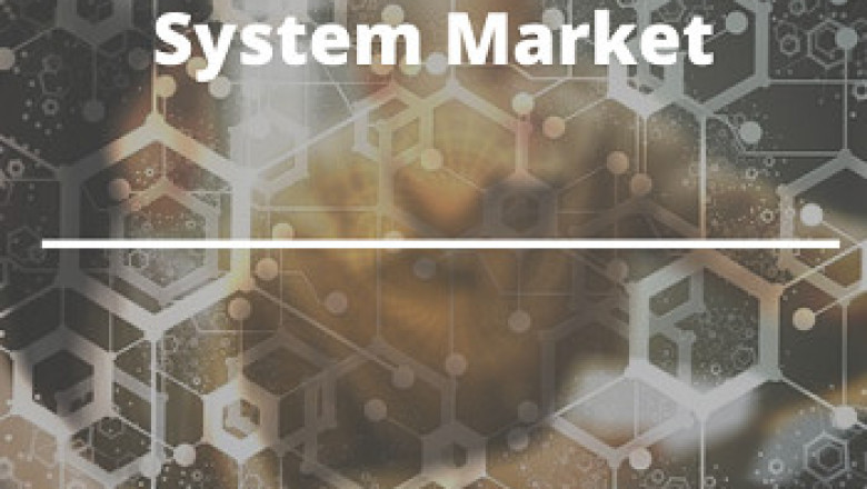 Risk Analysis and Market Scope: Portfolio Management System