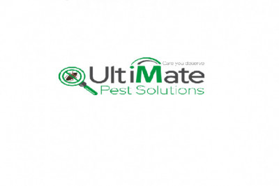 What Home Owners Should Know About Pest control Brampton