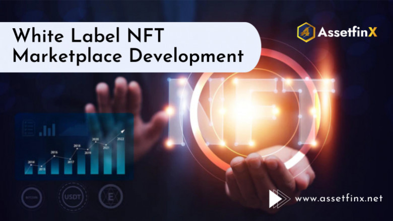 White Label NFT Marketplace Development - AssetfinX