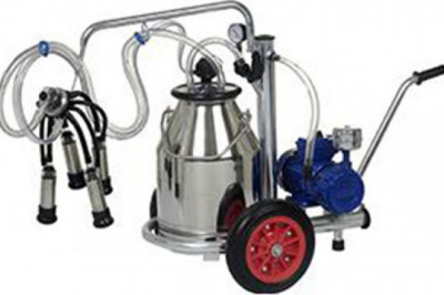 Best Milking Machine for Cows in India