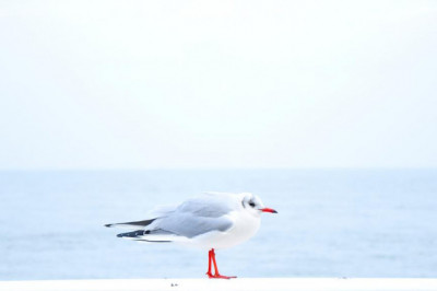 cuando y por que hay que reemplazar la cerradura de la puerta