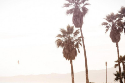 the only guide to what is capital one auto finance repossession policy