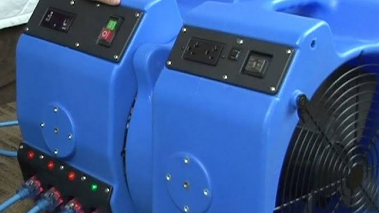 Exterminator Bed Bugs for Low Cost Bugs Removal