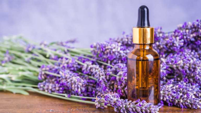 Lavender Oil Market Analysis, Challenges, Growth and Forecast By 2030