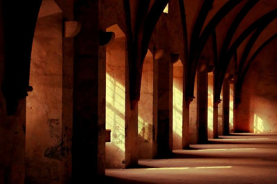 the single best strategy to use for what is profit singularity training