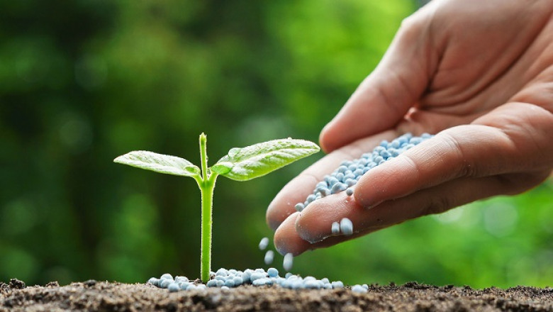Urea phosphate is powerful, and you don't have to worry about the volatilization of soil ammonia!