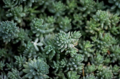 indigenous legislation lawyers