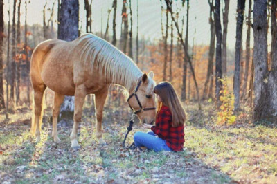 Out For Work? Get Your Pet an Overnight Pet Sitting