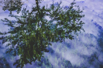 what is capital one auto finance repossession policy an overview