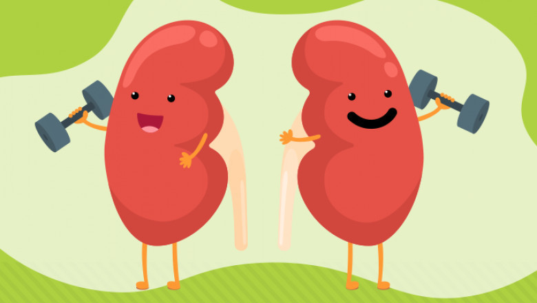 5 Best Tips For Keeping Your Kidneys Healthy For The Long Run