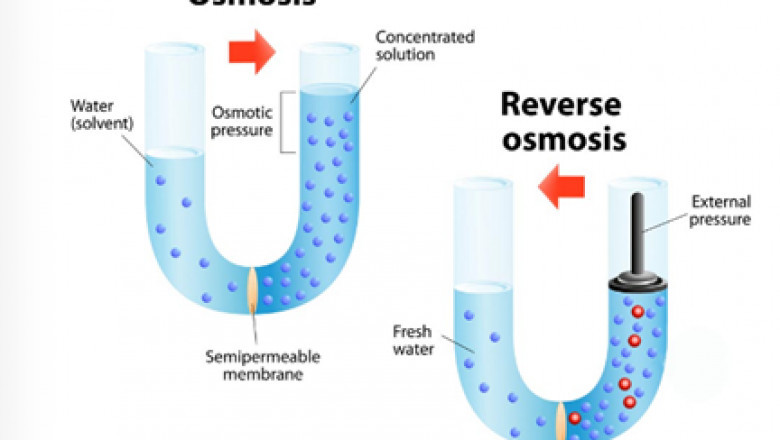 Membrane bio reactor