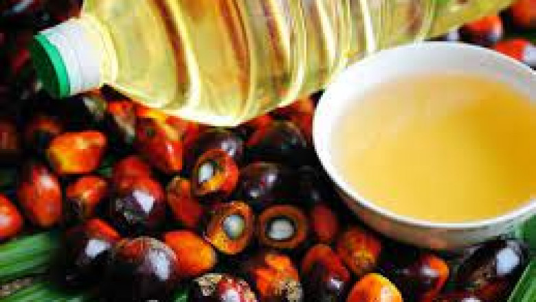 Palm Oil Market Size, In-depth Analysis Report and Global Forecast to 2028