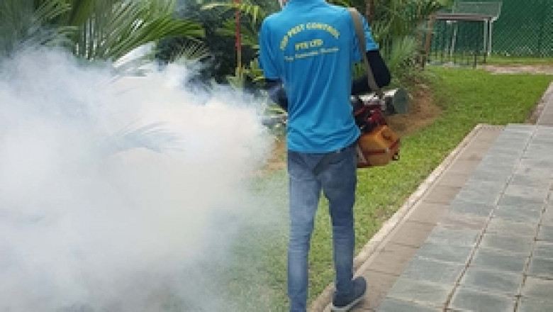 The Extermination of Pests by Pest Control Services Is Very Successful