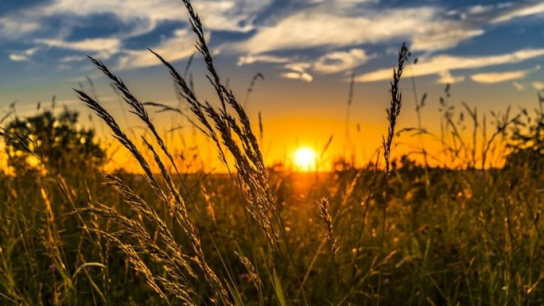 Variable Rate Technology is the Only Reacting Technology in Precision Agriculture
