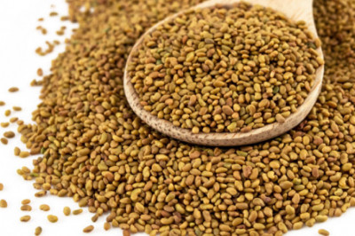 Alfalfa Seeds for a Healthy Body and Mind