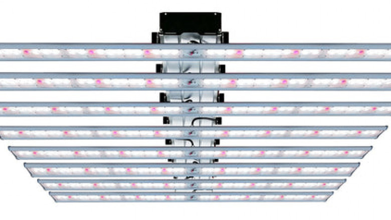 Benefits for Flowering Plants with High-Pressure Sodium Grow Lights