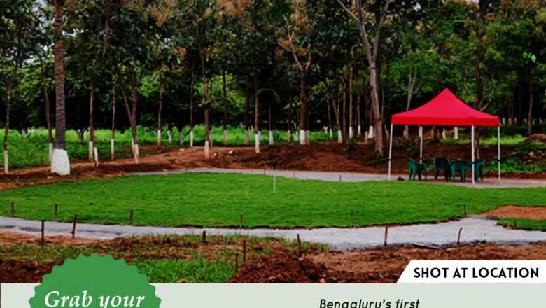 Farm Lands For Sale in Bangalore|Farm Lands For Sale in Kanakapura