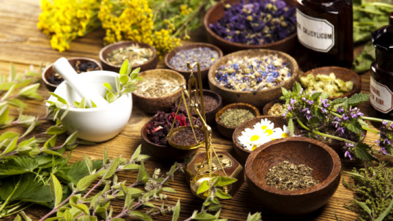 Global Plant Extracts Market 2020 Highlights, Recent Trends, Business Opportunities till 2025