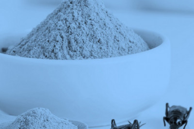 Insect Protein Market Is Booming Worldwide | Bis Research Report