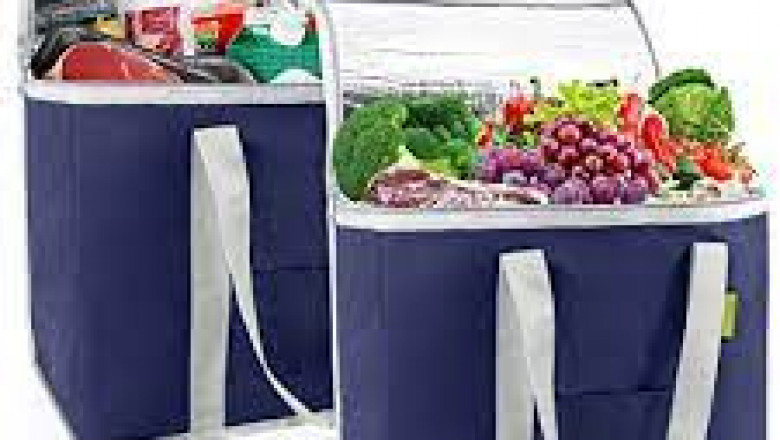 Insulated Bags Market Size, In-depth Analysis Report and Global Forecast to 2028