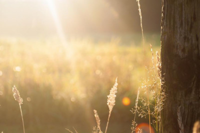 the basic principles of how do i become a real estate agent