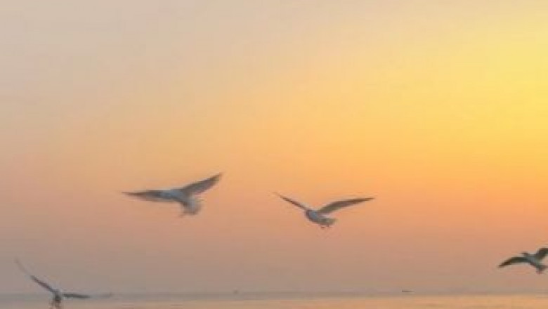 Michigan Nation Soccer: Dominique Lengthy enters go portal