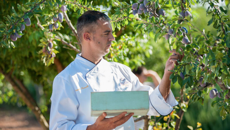 A Complete Process of Hiring a Personal Chef for Your Next Dinner Party