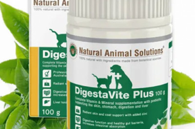 Buy Natural Animal Solution DigestaVite Plus for Dogs Online
