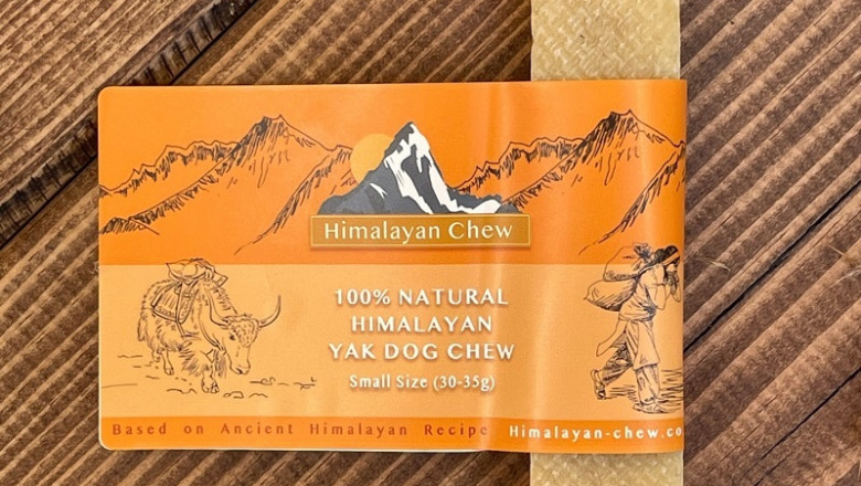 Choose The Best Chew For Dogs – Give Your Dog The Best It Deserves