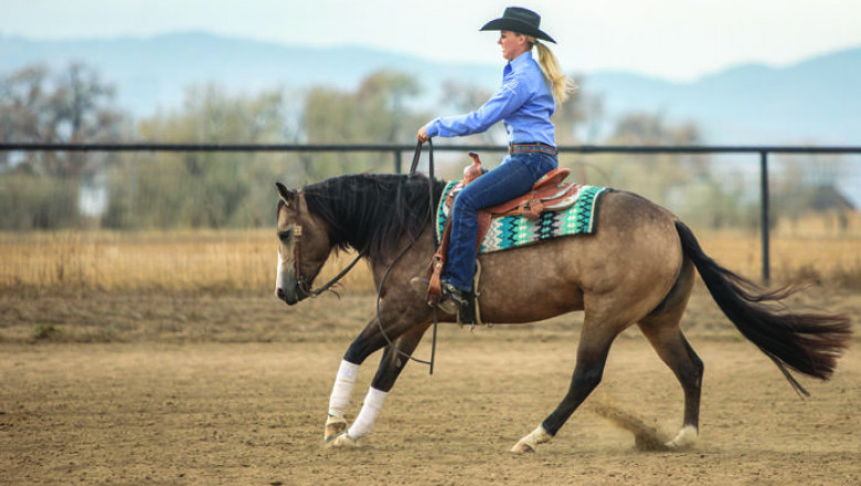 Guide to a Smooth Reining Rundown