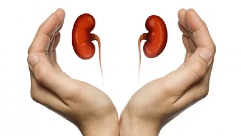 Kidney Cancer Drugs Analysis | Industry Size, Share, Growth and Forecast 2022-2030