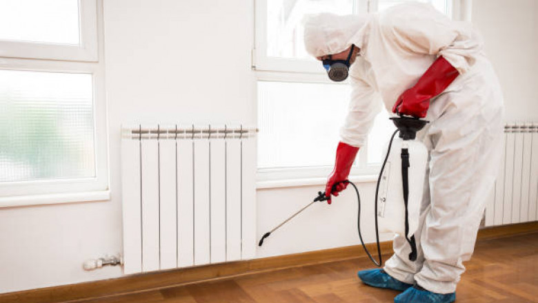 Pest Control: Tips and Tricks for a Safe Home