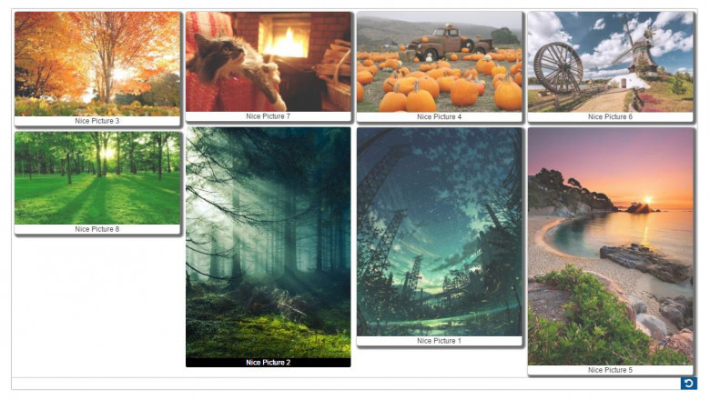 Photo Gallery Plugin | Supsystic