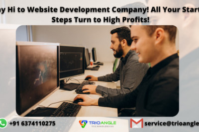 Say Hi to Website Development Company! All Your Startup Steps Turn to High Profits!