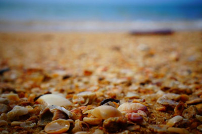 throw a noheat party for everything