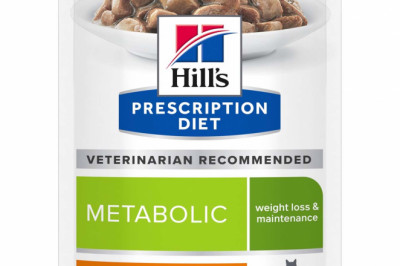 Buy Hill's Prescription Diet Metabolic Cat Food for Food Online