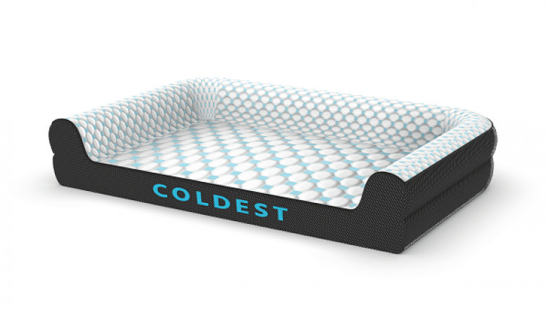 For Special Care Of Your Dog, You Need Extra-large Dog Beds