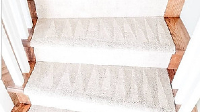 Get Rid of Allergens with Carpet Cleaning Services