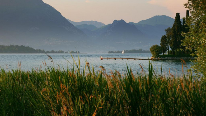 so youve bought molai forest now what