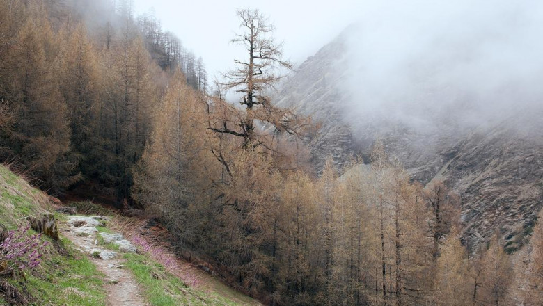 the complete guide to finding the right mission viejo mortgage broker for your home loan