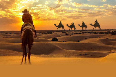 Experience the Desert safari