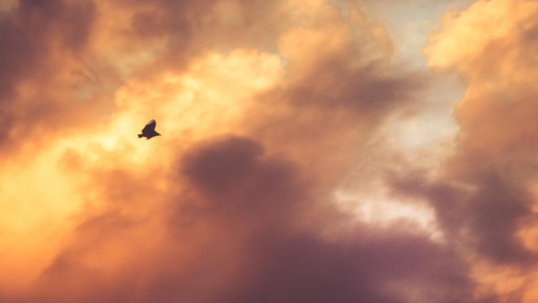 how much do cpap equipments cost