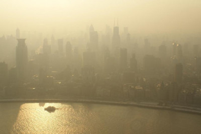 paid reverse phone scan services how to get value get