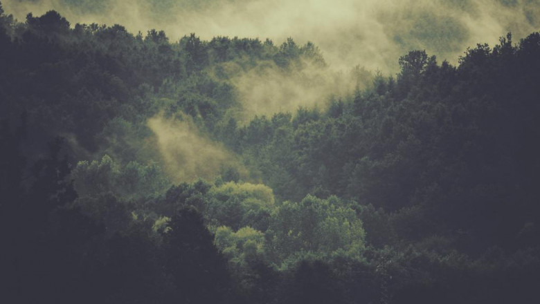 8 goto resources about khlvqt plyyrym