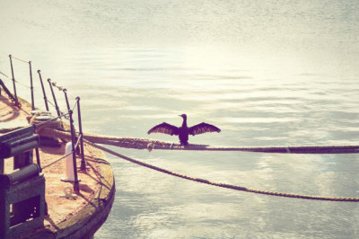 10 tips for making a good latest news in greece even better