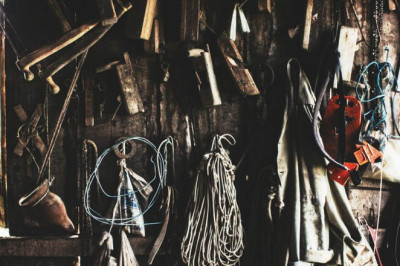 20 fun facts about greek society news